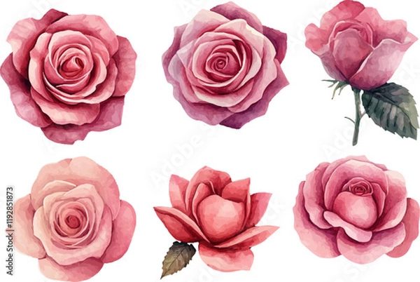 Fototapeta set of pink roses