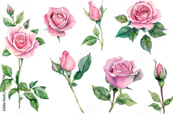 Fototapeta seamless pattern with pink roses