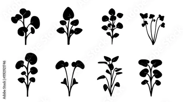 Fototapeta Collection of Watercress icons, Watercress illustration art, seamless pattern