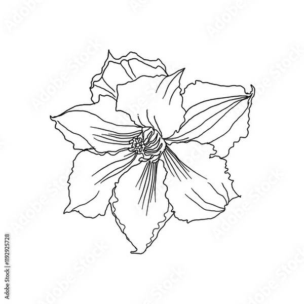 Fototapeta Monochrome sketch of lily flower on white background. Image for tattoo. 