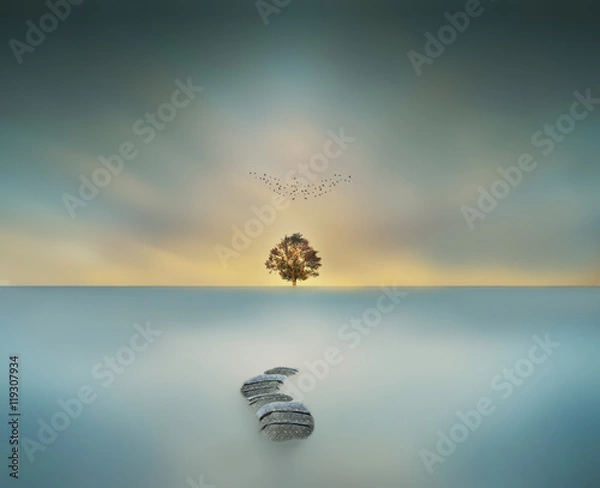 Obraz way to heaven magical big tree in waterscape long exposure
