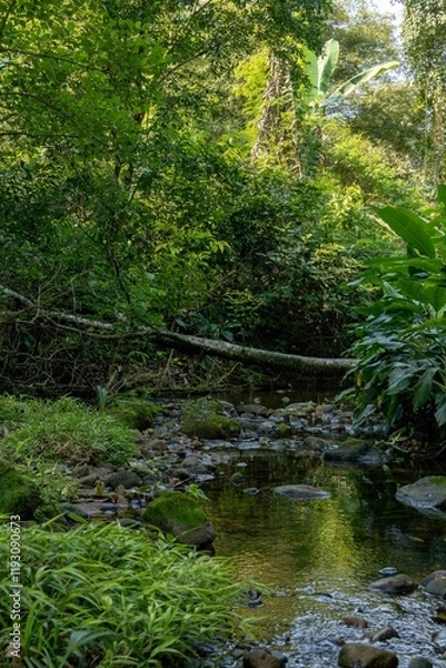 Fototapeta Cachoeira Natureza Água Pedras