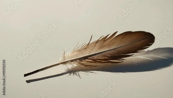Fototapeta Close-up of a single feather at corner, cinematic light and soft shadows