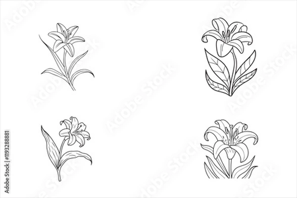Fototapeta Set of Coloring page with Lilies and leaves. Vector page for coloring. Flower Colouring page. Outline Lilies . Black and white page for coloring book. Anti-stress coloring. Line art flowers