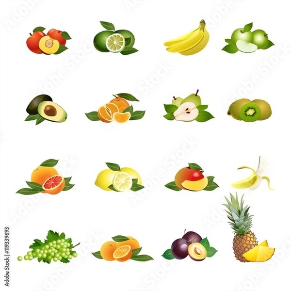 Obraz Fruits. Vector.