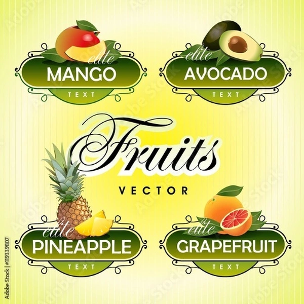 Obraz Fruits. Vector. Mango, avocado, pineapple, grapefruit