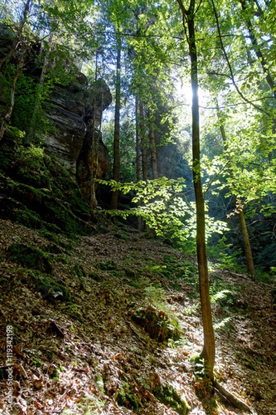 Obraz Sächsische Schweiz 01