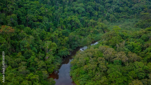 Obraz Beautiful aerial view of a small river that flows into Praia da Fazenda, a sustainable tourist destination within the protected area of Serra do Mar State Park, Ubatuba / SP.