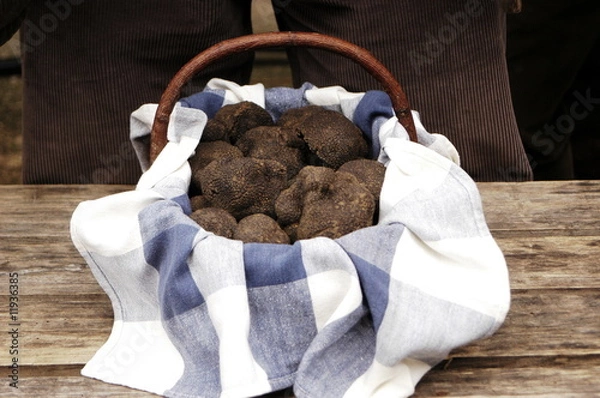 Fototapeta targ trufli lalbenque