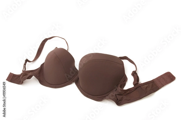 Obraz brassiere on white