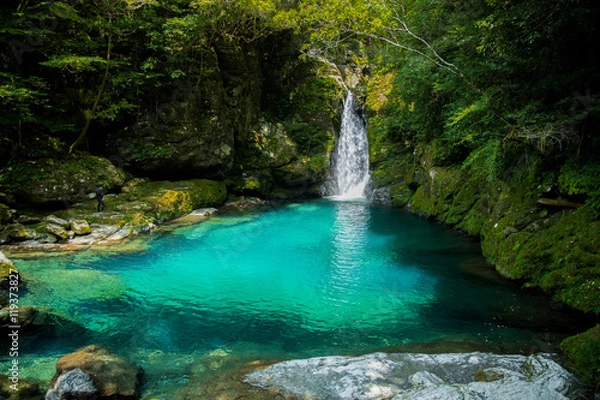 Obraz にこ淵（高知県いの町）