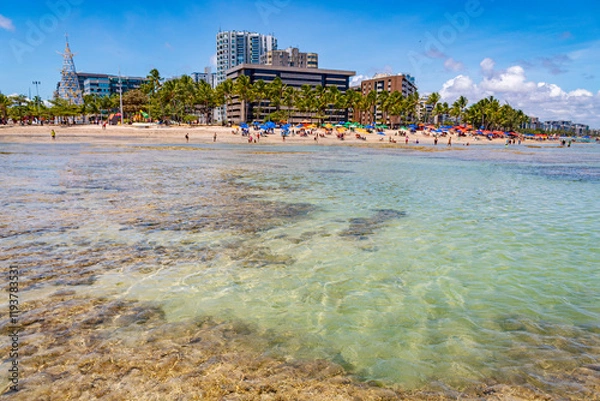 Obraz tropical beach in northeastern Brazil in the state of Alagoas, city of Maceio, Ponta Verde beach