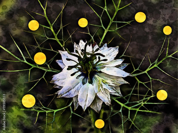 Obraz Flower on dark background