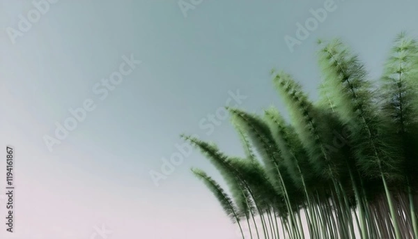 Fototapeta Goal of life, growth and, motivation concept: Towering bamboo forest swaying in the wind, resilience and growth.