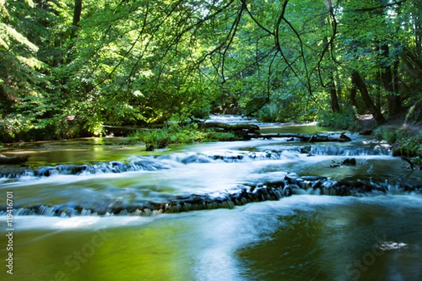 Fototapeta Tanew river - long exposure - focused