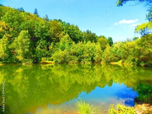 Fototapeta Lake with reflection and deciduous forest in wild nature during beautiful sunny day