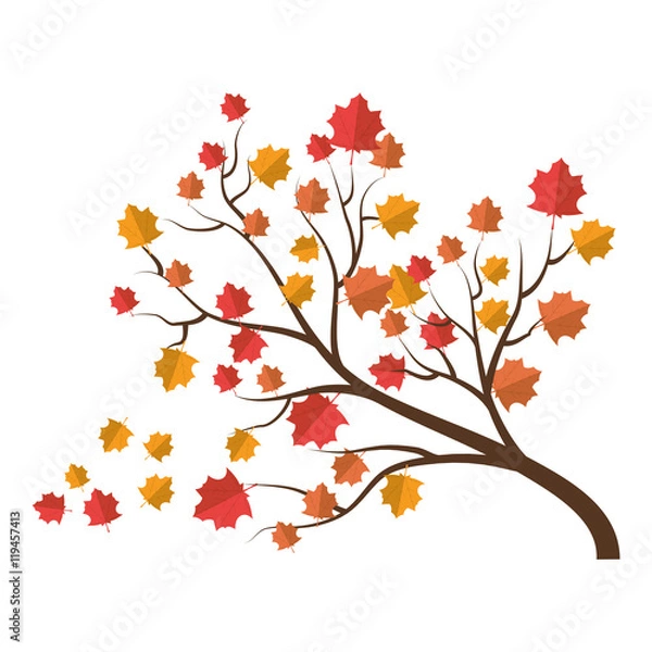 Obraz tree autumn dry leaves