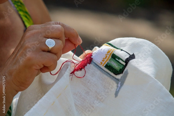 Obraz Point de croix Broderie