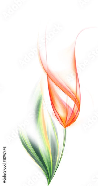 Obraz Kwiat tulipana