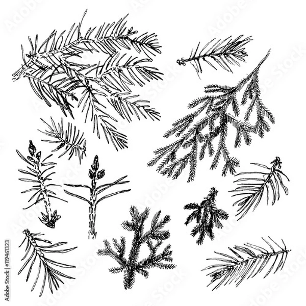 Obraz Collection with needles.