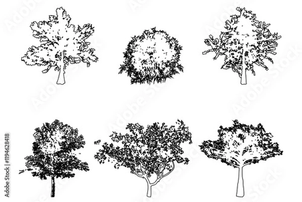 Fototapeta Set or collection of trees as a black line drawing silhouette on white background. Concept or conceptual vector for nature, planet, ecology conservation, strength, endurance and  beauty