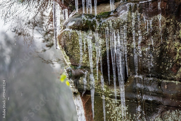 Obraz Icicles on a lichen rock