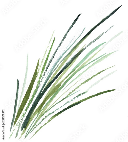 Obraz Watercolor thin tiny green grass leaves isolated illustration, botanical wedding element