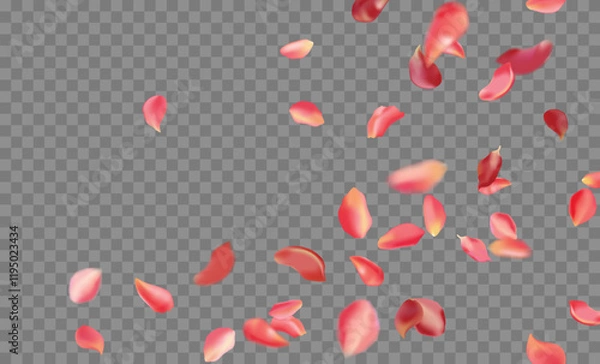 Fototapeta Red rose and cherry blossom falling sakura petals on fake transparent background, isolated special effect. Vector illustration in eps format. Elements for Valentine's Day, Mother's Day, March 8. Love.