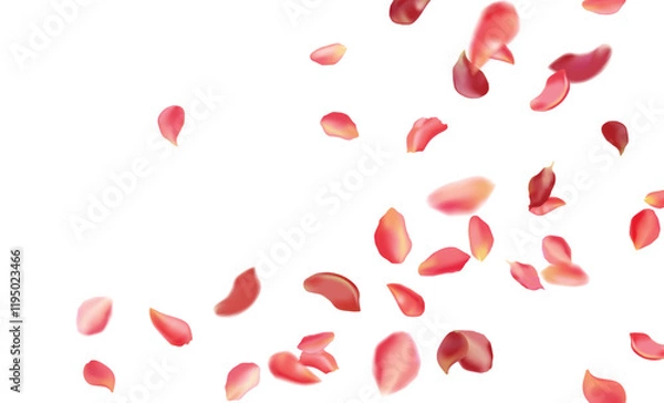 Fototapeta Red rose and cherry blossom falling sakura petals on fake transparent background, isolated special effect. Vector illustration in eps format. Elements for Valentine's Day, Mother's Day, March 8. Love.