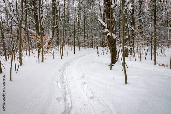 Obraz Riley Trails (Winter 2025)