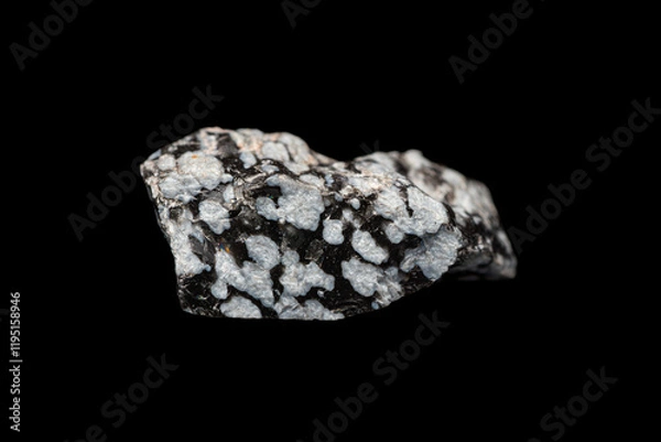 Fototapeta Closeup natural rough snowflake obsidian on dark background. A volcanic rock with cristobalite crystals inclusions. (selective focus)