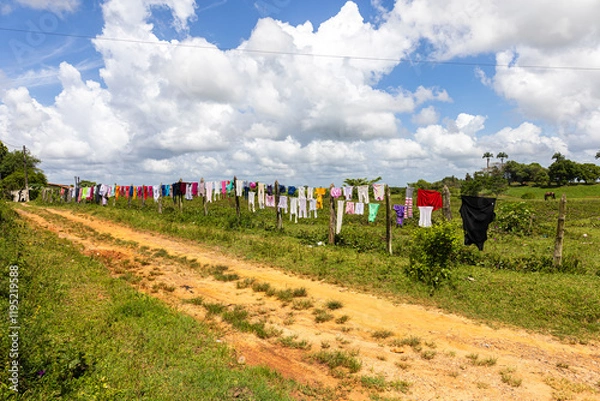 Obraz roupas no varal
