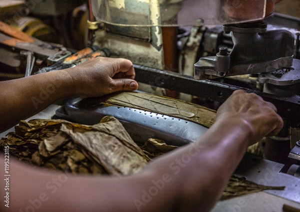 Obraz fabrica de charuto