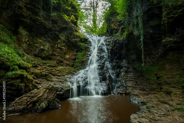Obraz Hareshaw Linn
