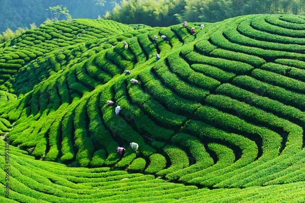 Obraz Taiwan Landscape