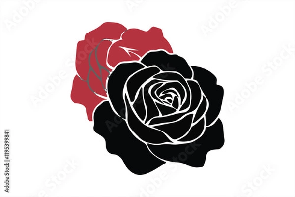 Obraz Beautiful Rose vector illustration image