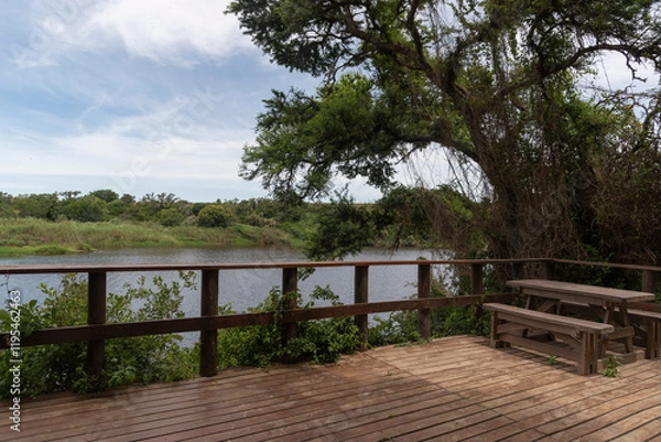 Obraz Swellendam Western Cape South Africa. 04.12.2024. Viewing platform along the Breede River in the Bontebok Park Swellendam Wesstern Cape South Africa.