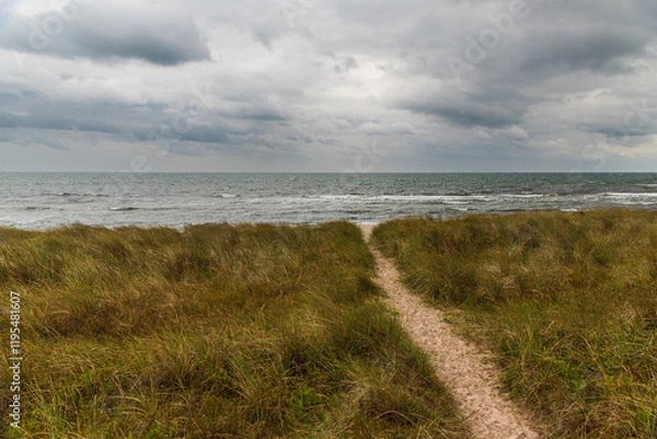 Fototapeta Seaside landscape with path, sea, grass and clouds. Denmark