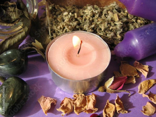 Obraz wiccan herbs