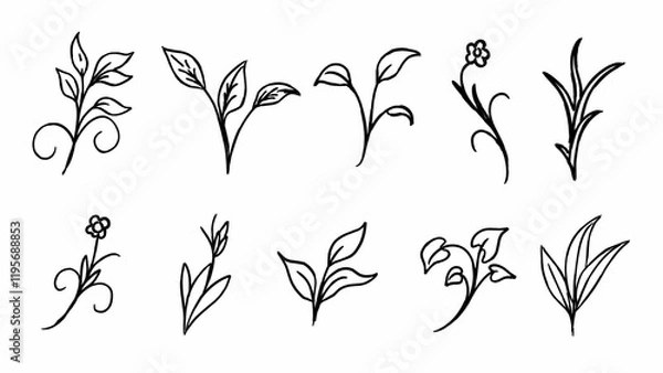 Fototapeta abstract flowers and leaves, hand drawn floral elements in black vector design isolated on white background