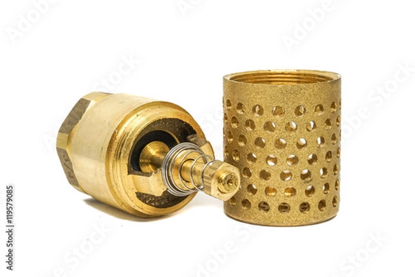 Obraz spring loaded foot valve