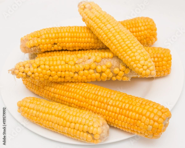 Obraz yellow boiled corn