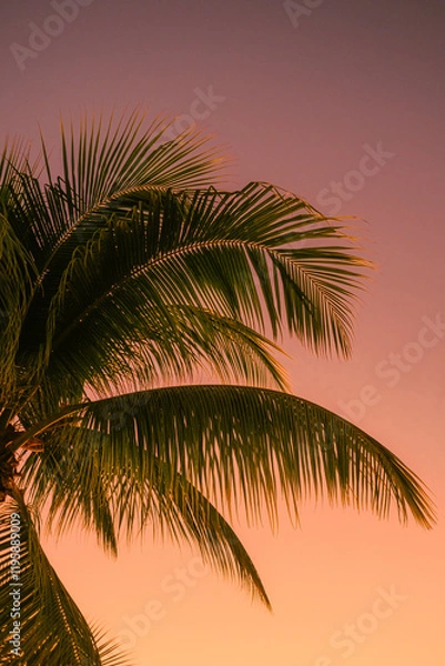 Obraz Sunset Caribbean beach Martinique