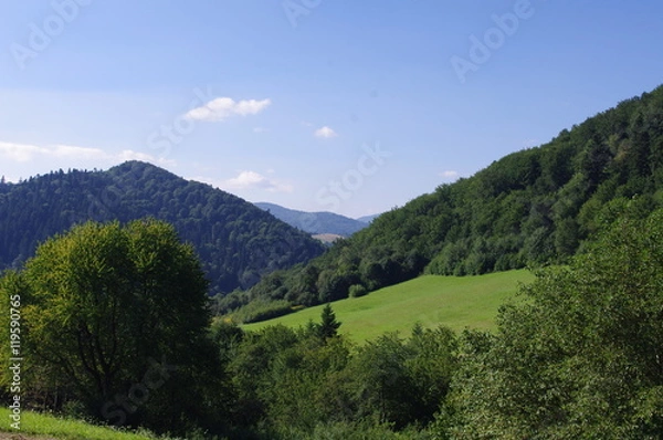 Obraz Wzgórza nad Soliną
