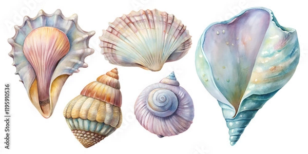Fototapeta Collection of colorful seashells showcasing intricate designs and textures found along coastal shores