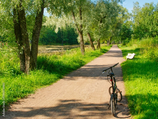 Obraz A bicycle in the park