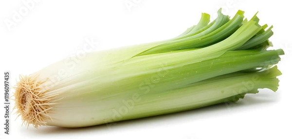 Fototapeta Fresh Green Leek, Isolated on White Background