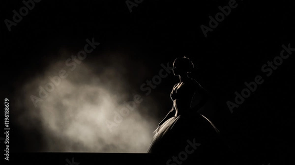 Fototapeta A silhouette of a ballerina in a classic costume on a dark background with soft lighting