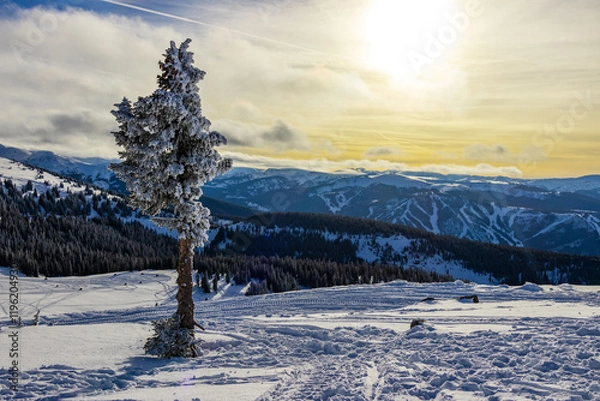 Obraz Winter Park, Colorado