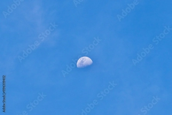 Fototapeta Beautiful half white moon visible on sunny daytime blue sky isolated on horizontal outdoor environment background.